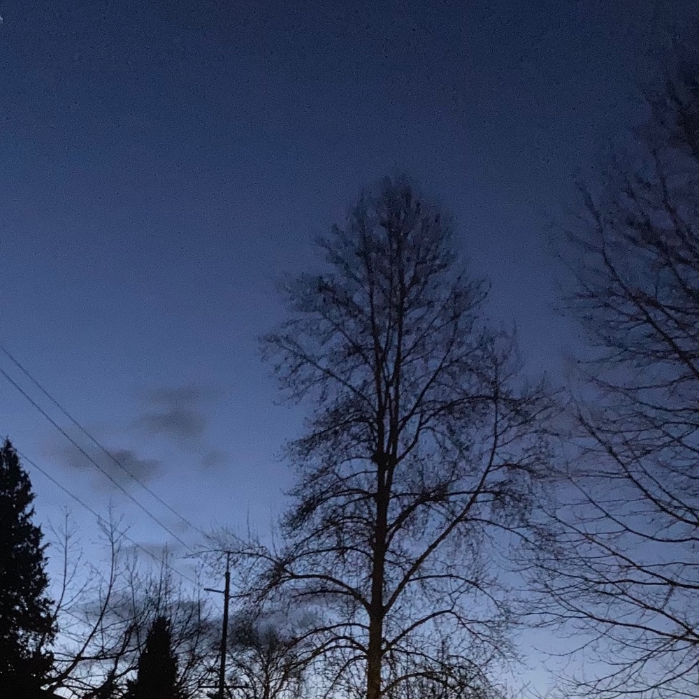 Meet your Posher, Edhejhdh